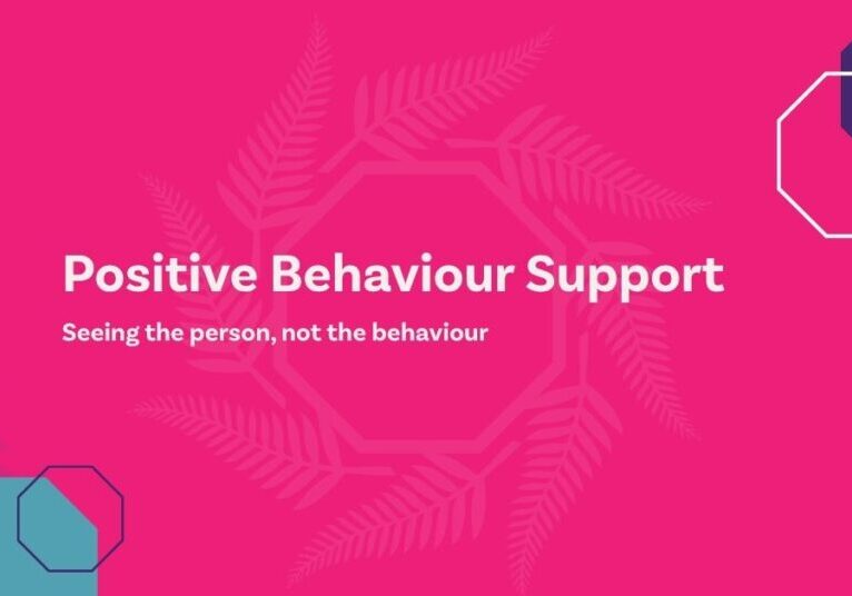 Positive Behaviour Support (PBS)